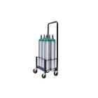 6 Cylinders - Oxygen & Medical Gases (D,E,M9 Tanks) - Cylinder Cart
